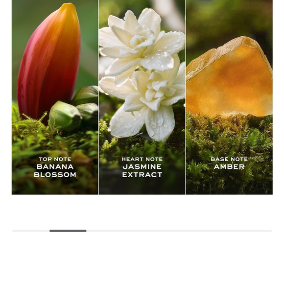 Marc Jacobs Daisy Wild Eau So Intense - Green Floral Design - Picture 2 of 4